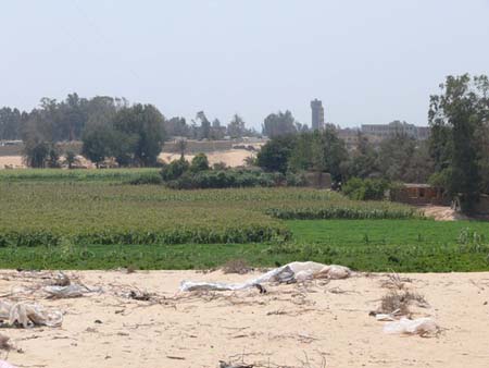 Sítio arqueologico na área de Quesna (Egito). Imagem disponível em . Acesso em 21 de setembro de 2013. 